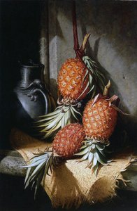 Ananas, vers 1880